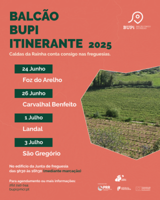 Bupi na Vila