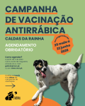 Vacina&ccedil;&atilde;o Antirr&aacute;bica 